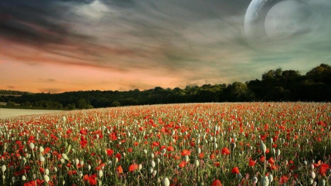 不喜欢老婆找健身房男教练私教，是我太狭隘了吗？